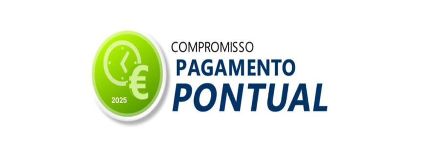 soltrafego, carlos oliveira, transito, parques estacionamento, mobiliario urbano